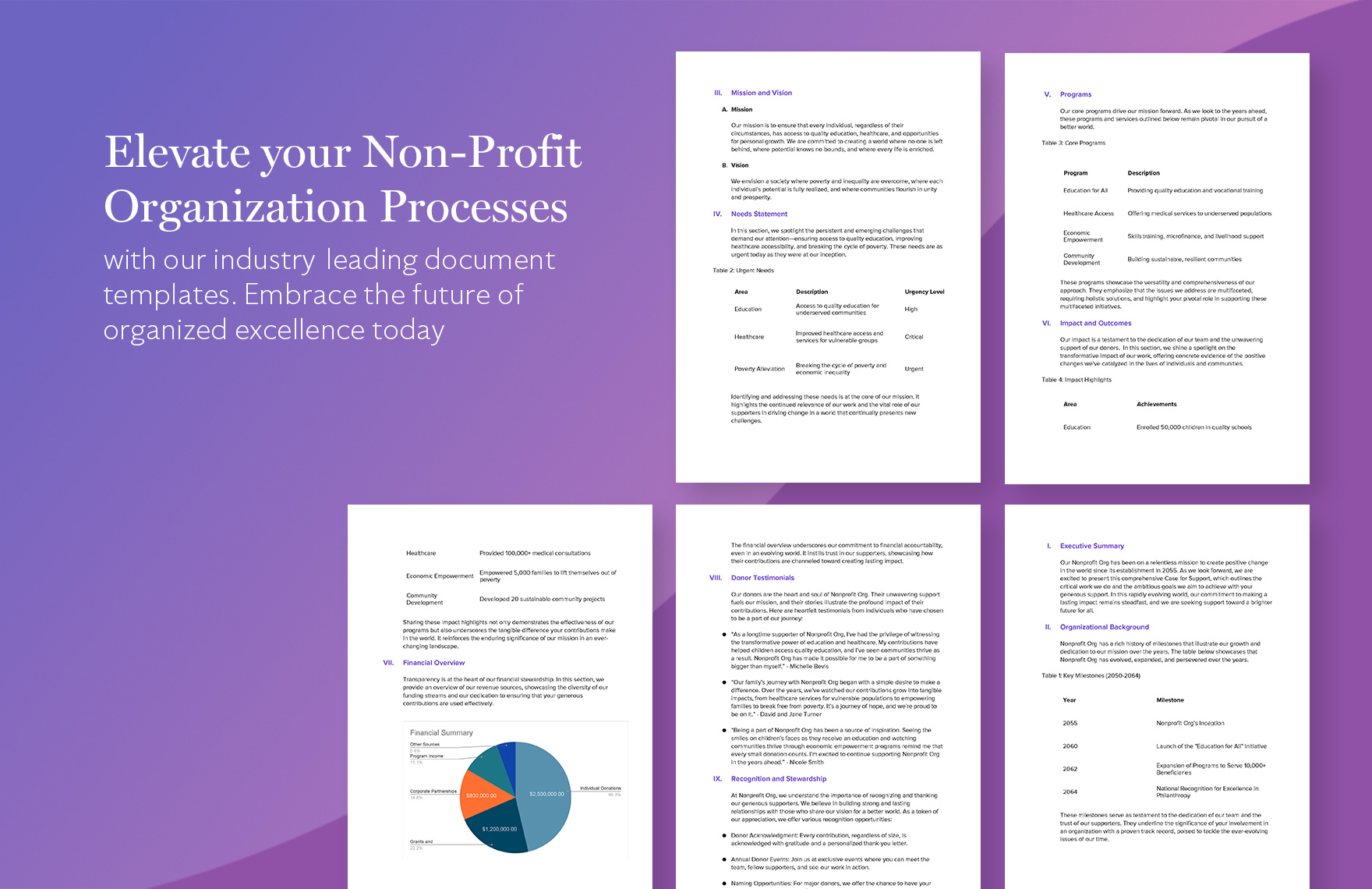 Nonprofit Organization Case for Support Template