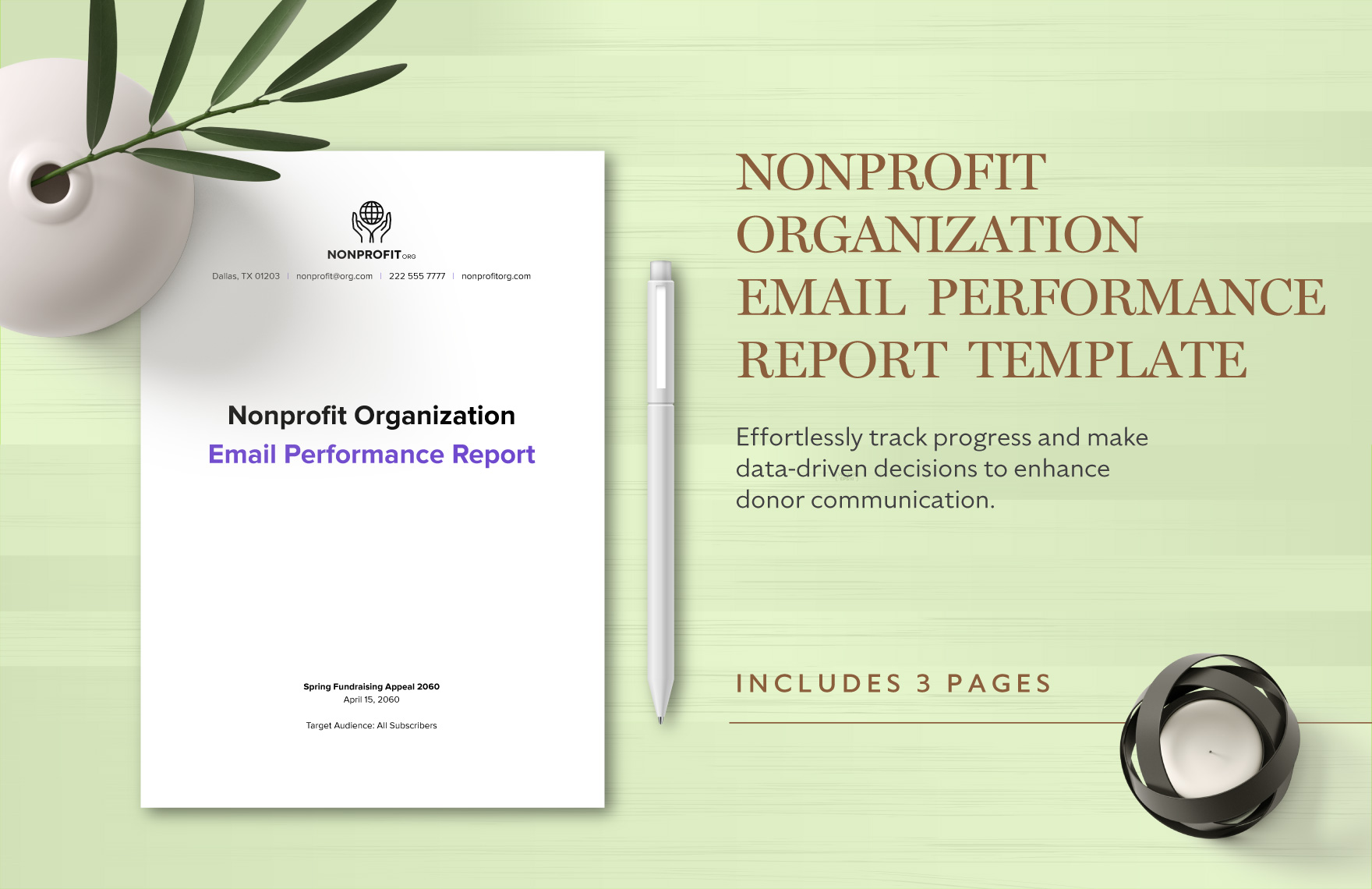 Nonprofit Organization Email Performance Report Template