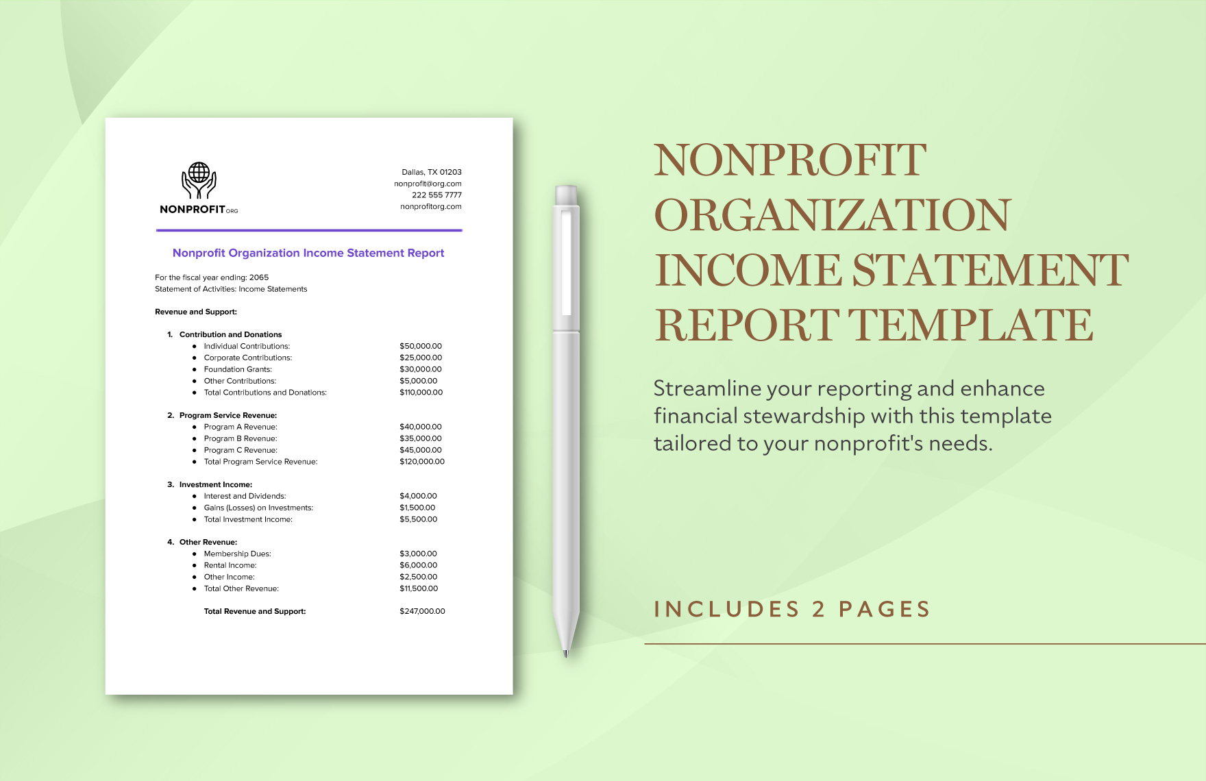 Nonprofit Organization Income Statement Report Template