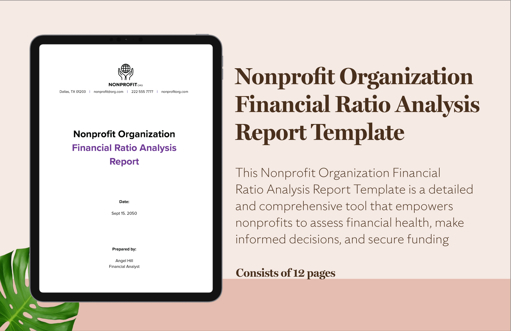 Nonprofit Organization Financial Ratio Analysis Report Template