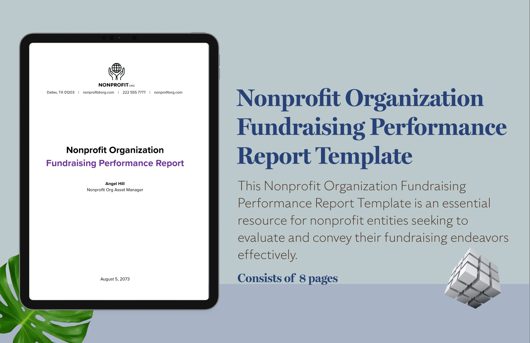 Nonprofit Organization Fundraising Performance Report Template