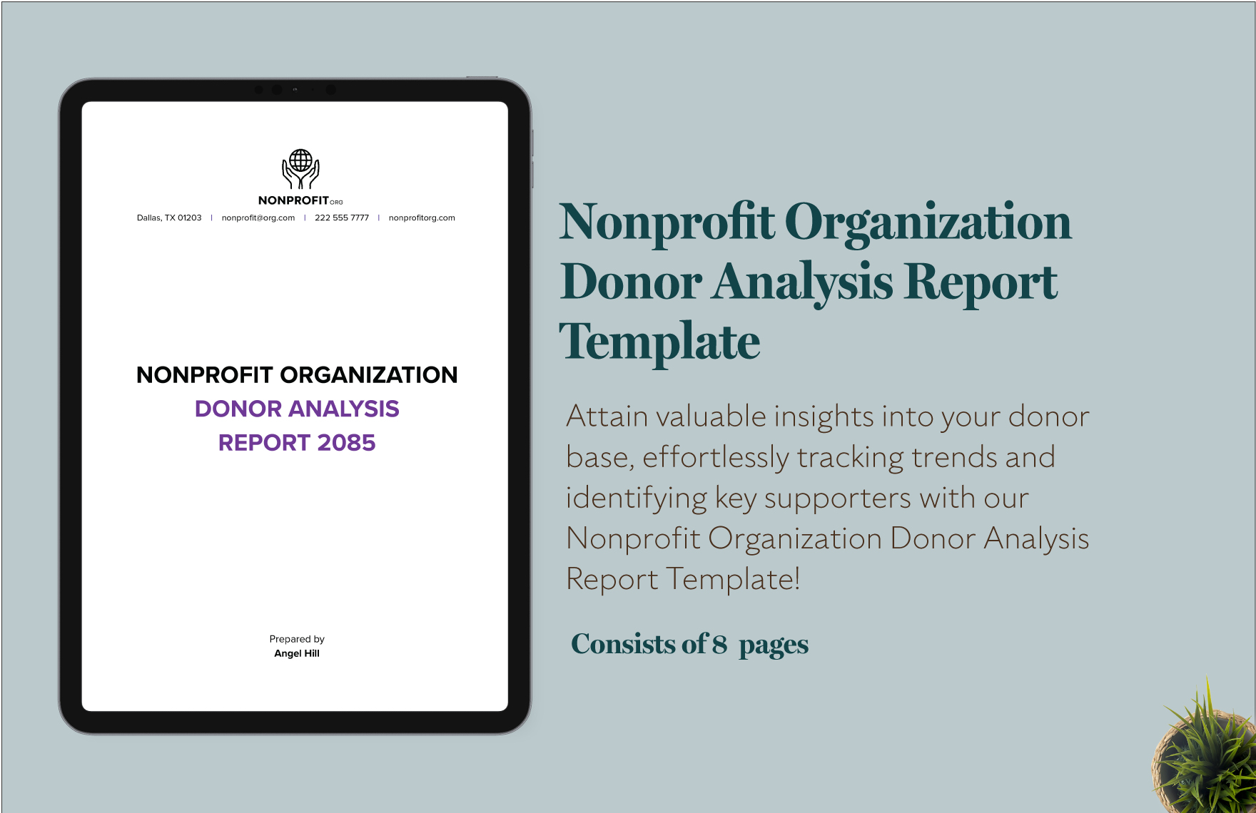 Nonprofit Organization Donor Analysis Report Template