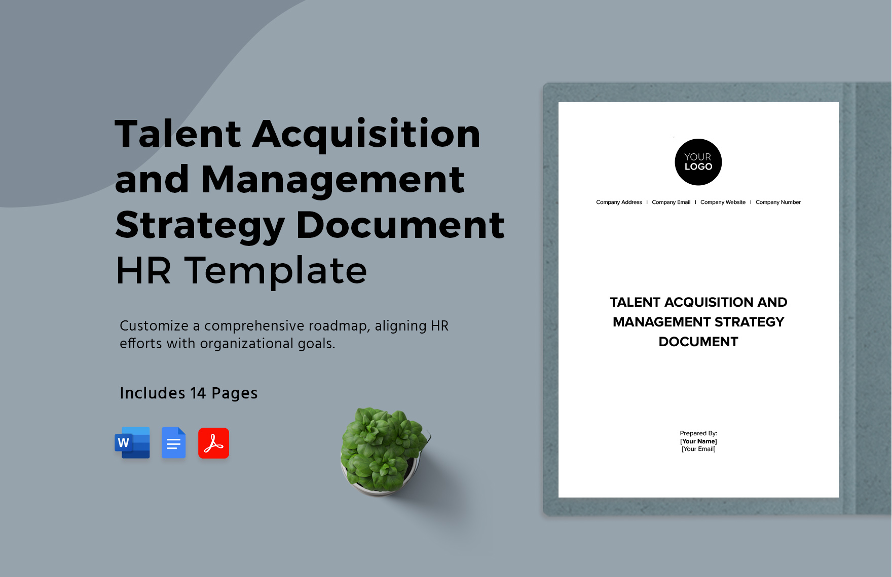 Talent Acquisition and Management Strategy Document HR Template