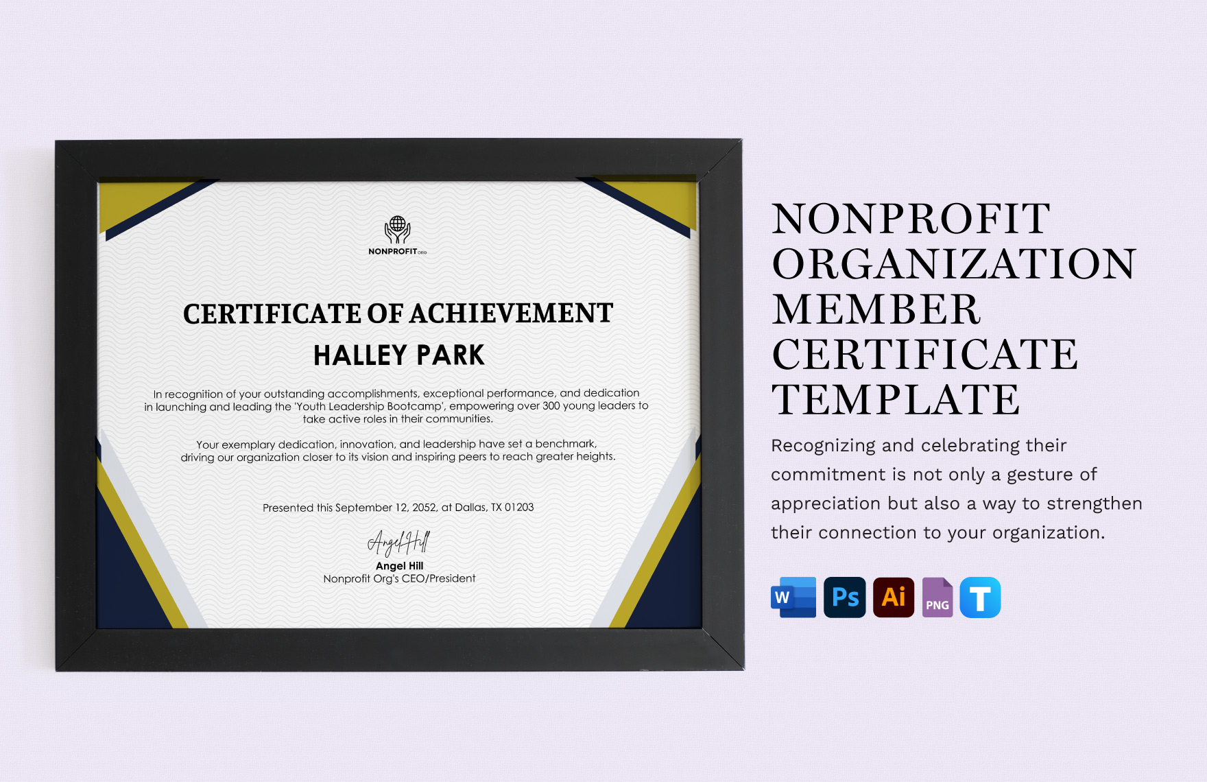 Nonprofit Organization Achievement Certificate Template