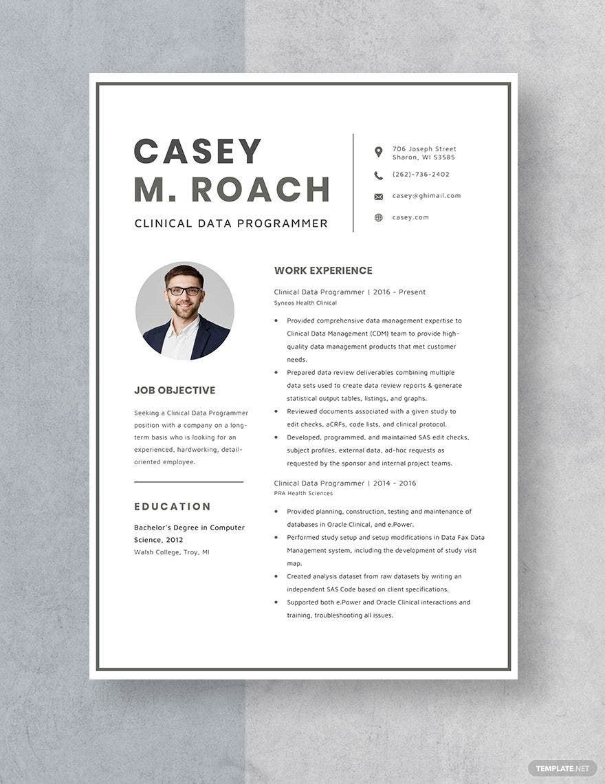 Clinical Data Programmer Resume