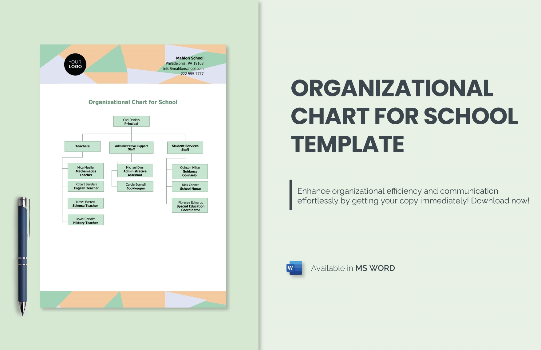 Organizational Chart for School Template