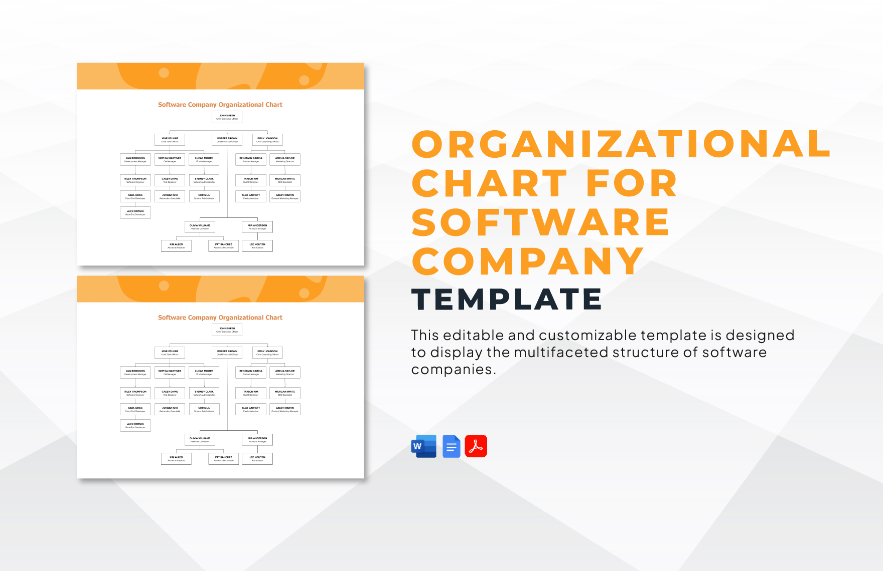 Organizational Chart for Software Company Template