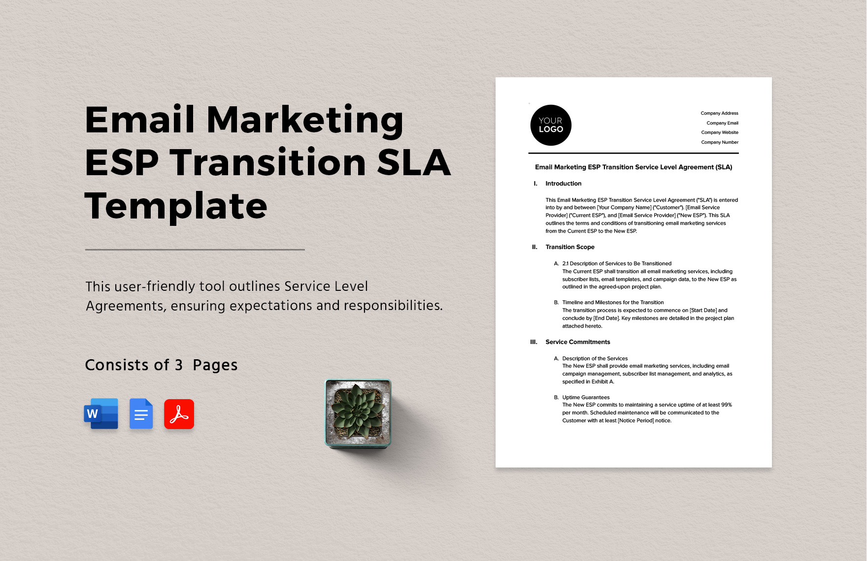 Email Marketing ESP Transition SLA Template