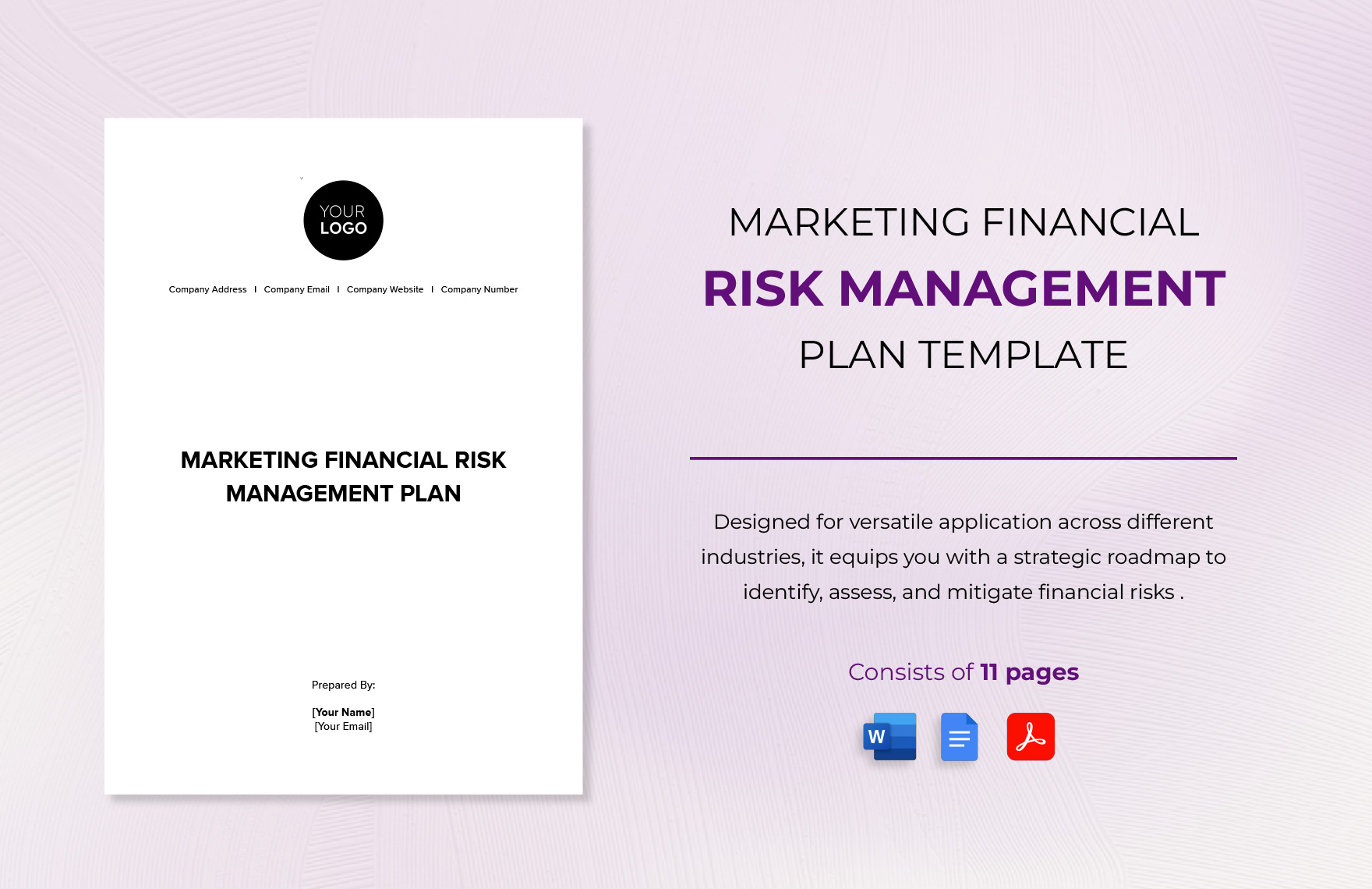 Marketing Financial Risk Management Plan Template