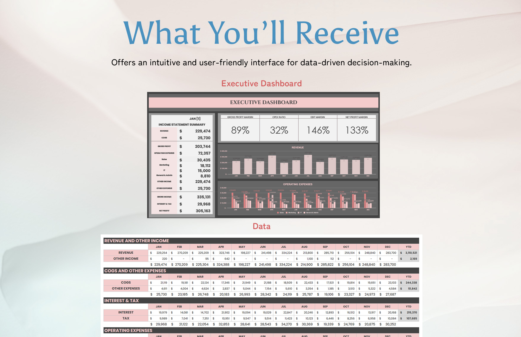 Executive Dashboard Template