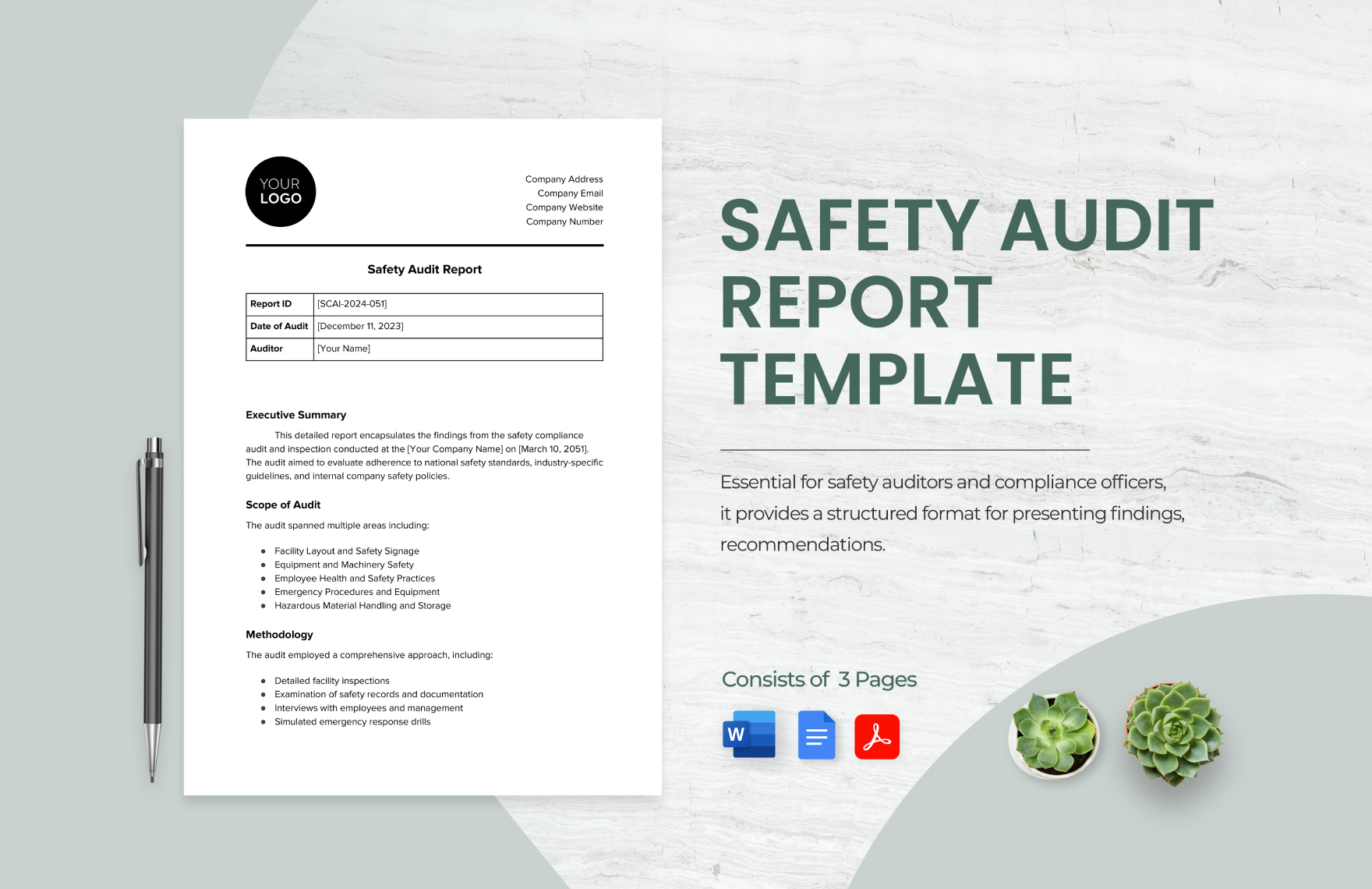 Safety Audit Report Template