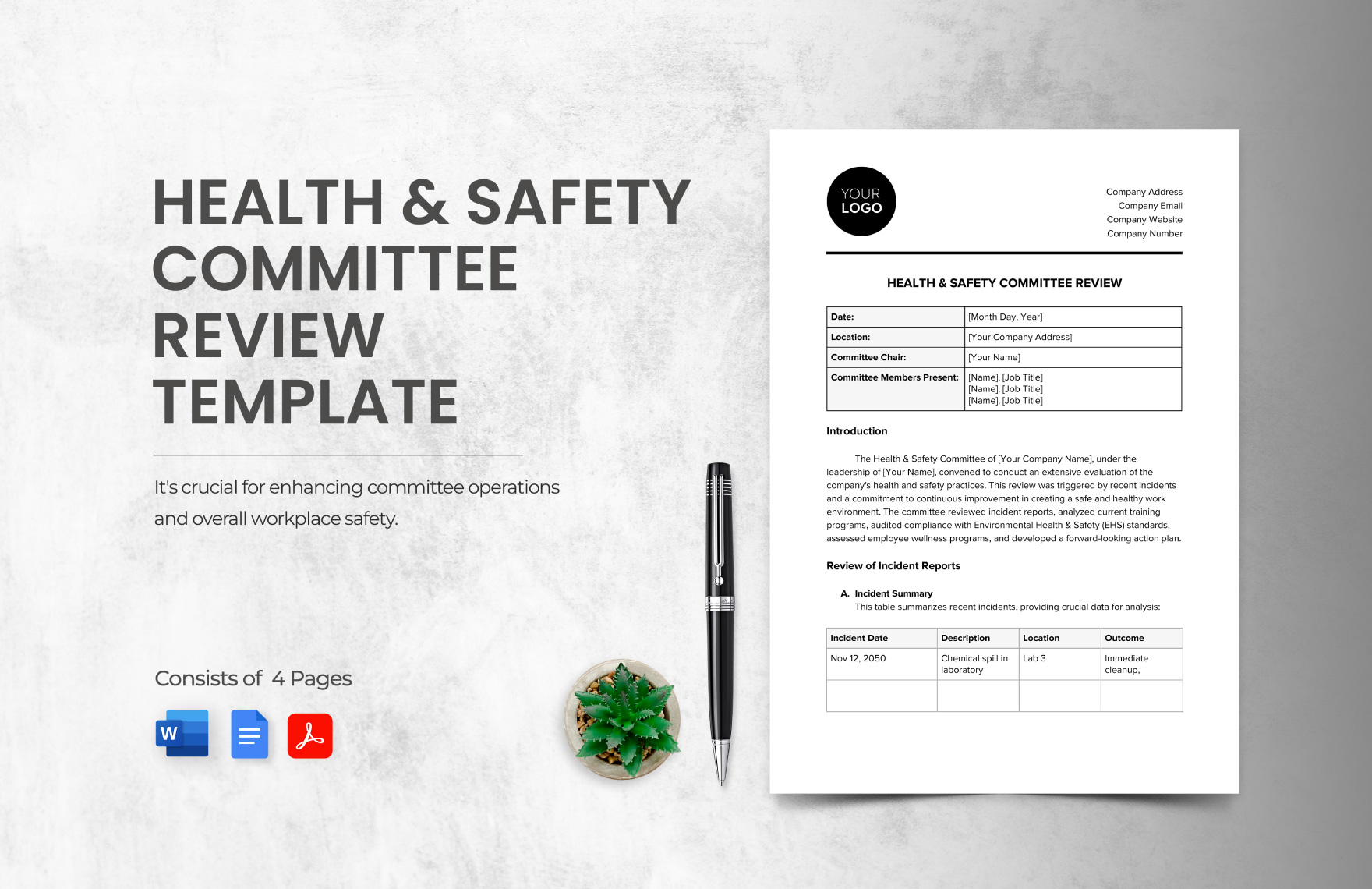 Health & Safety Committee Review Template