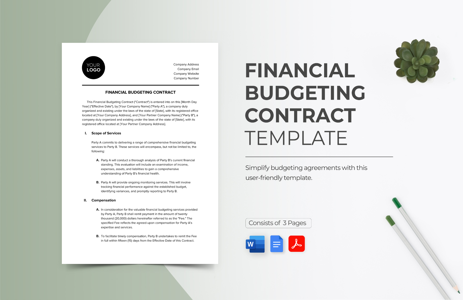 Financial Budgeting Contract Template