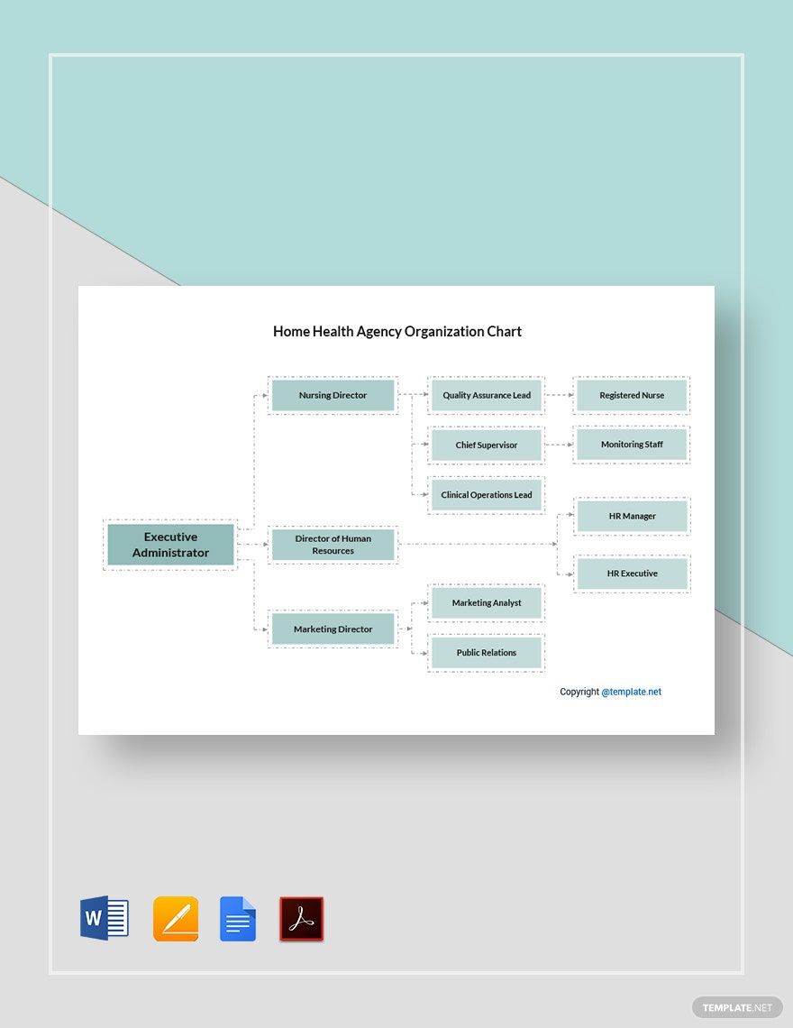 Home Health Agency Organization Chart template