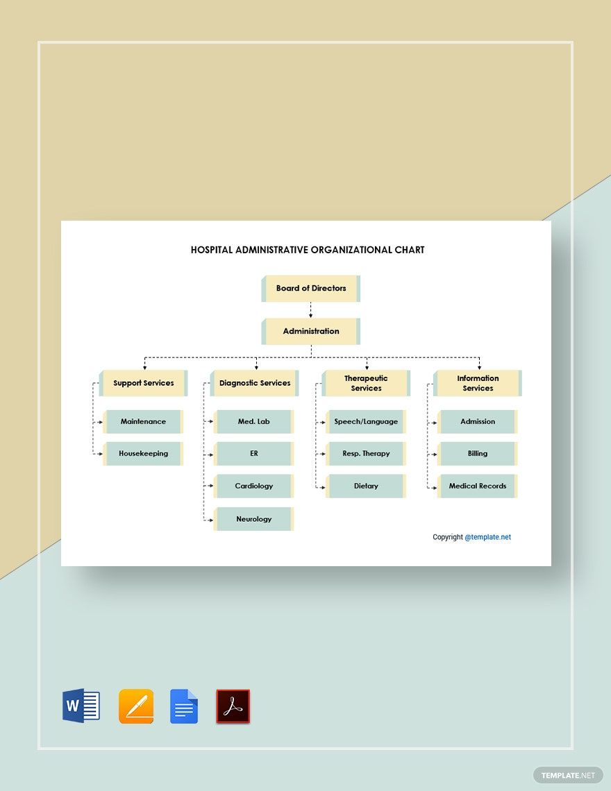 Hospital Administrative Organizational Chart Template in Google Docs, Pages, Word, PDF - Download | Template.net