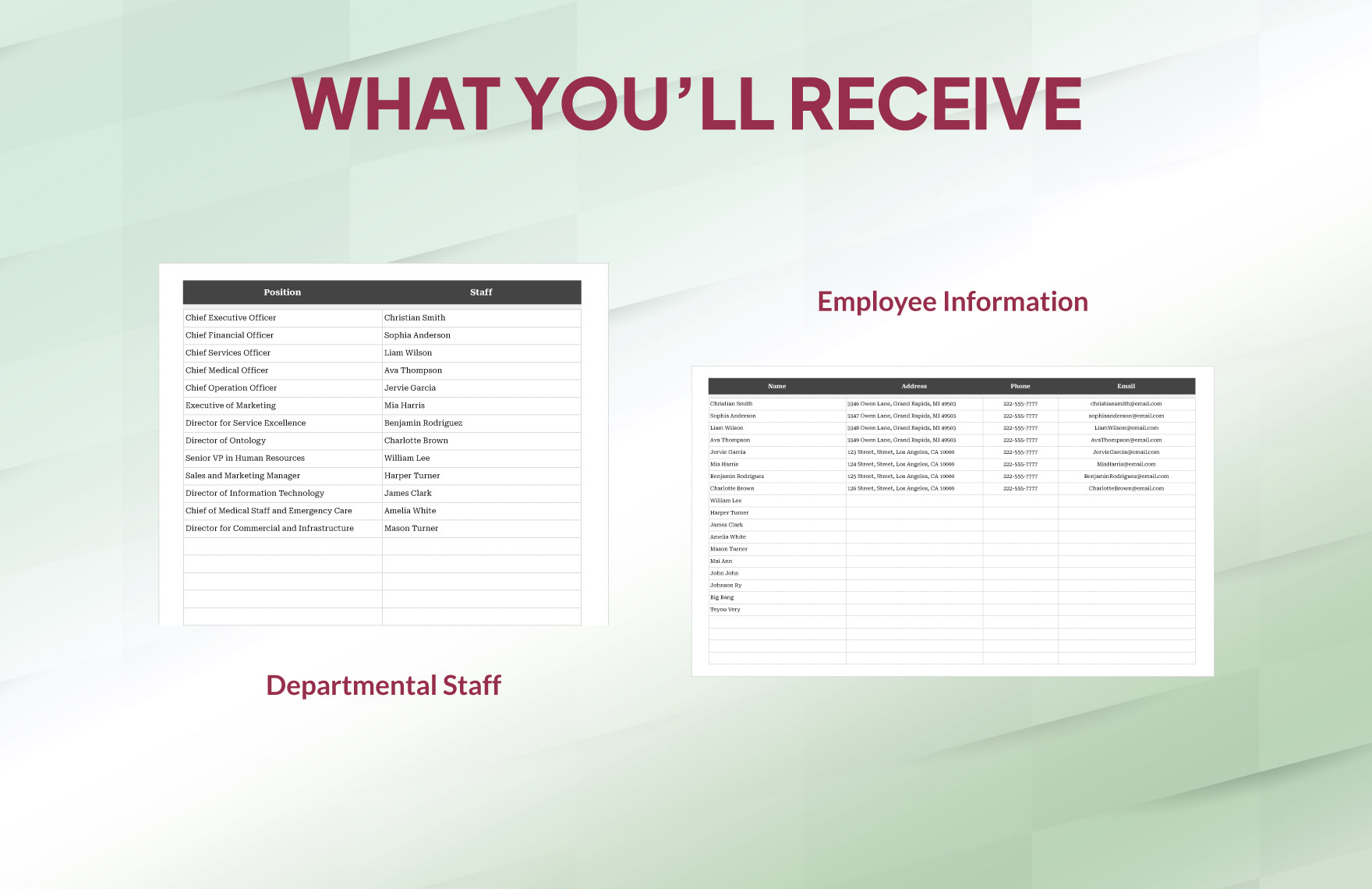 Hospital Organizational Chart Template