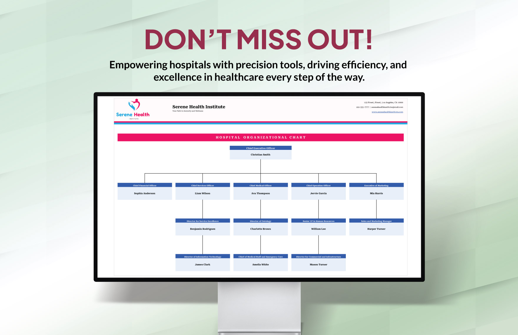 Hospital Organizational Chart Template