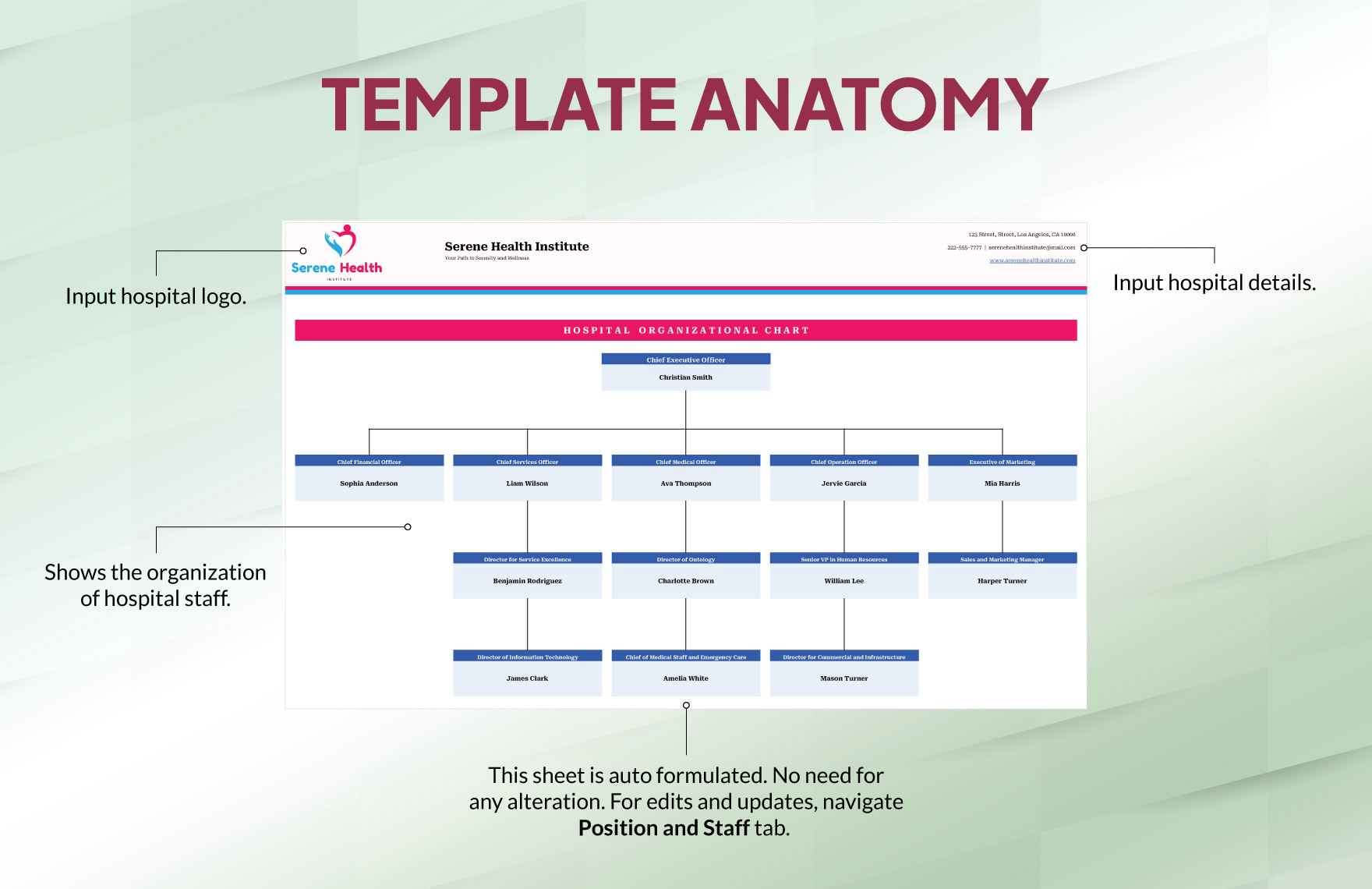 Hospital Organizational Chart Template