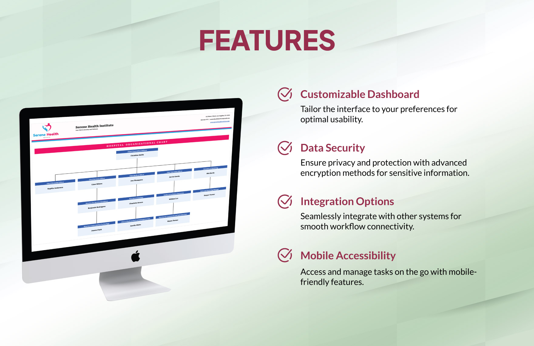 Hospital Organizational Chart Template