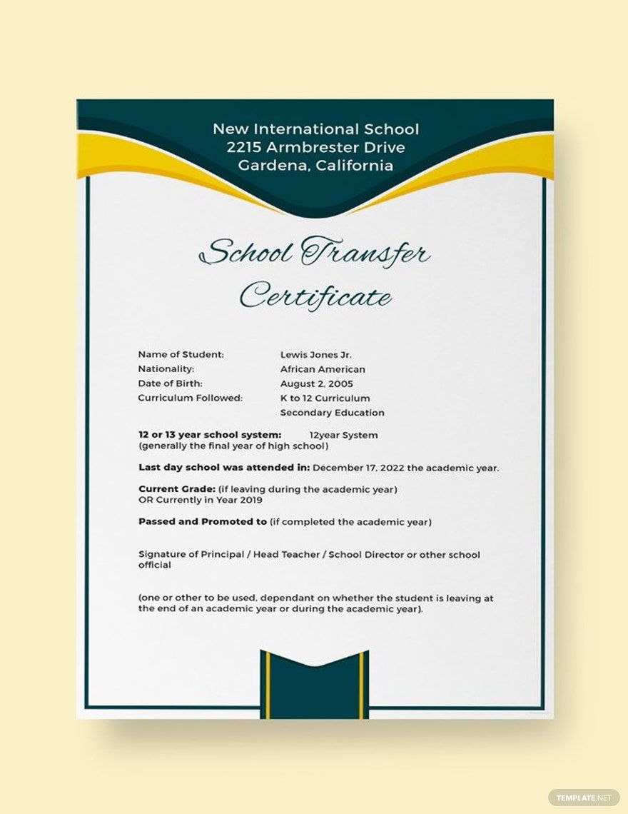 School Transfer Certificate Template in InDesign, Pages, Word, Illustrator, Photoshop, Publisher, Google Docs - Download | Template.net