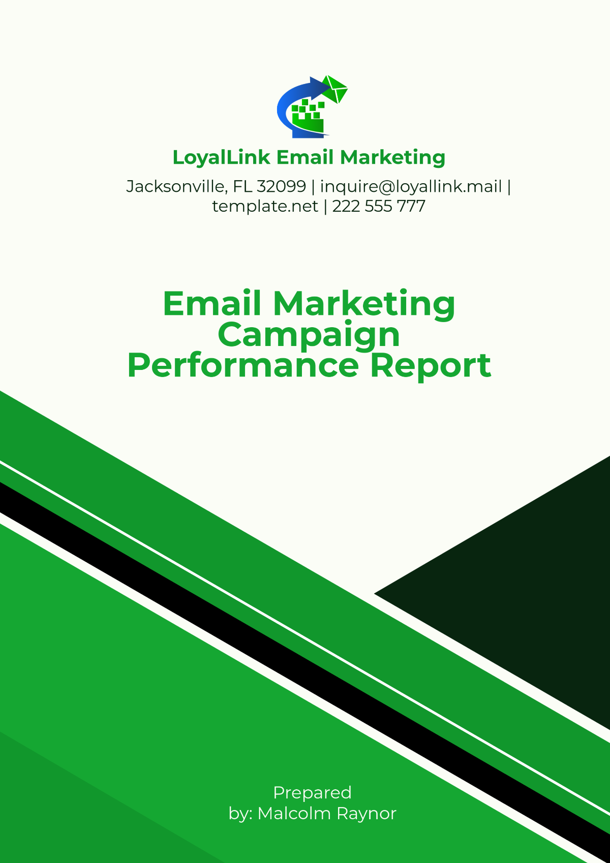 Free Email Marketing Campaign Performance Report Template