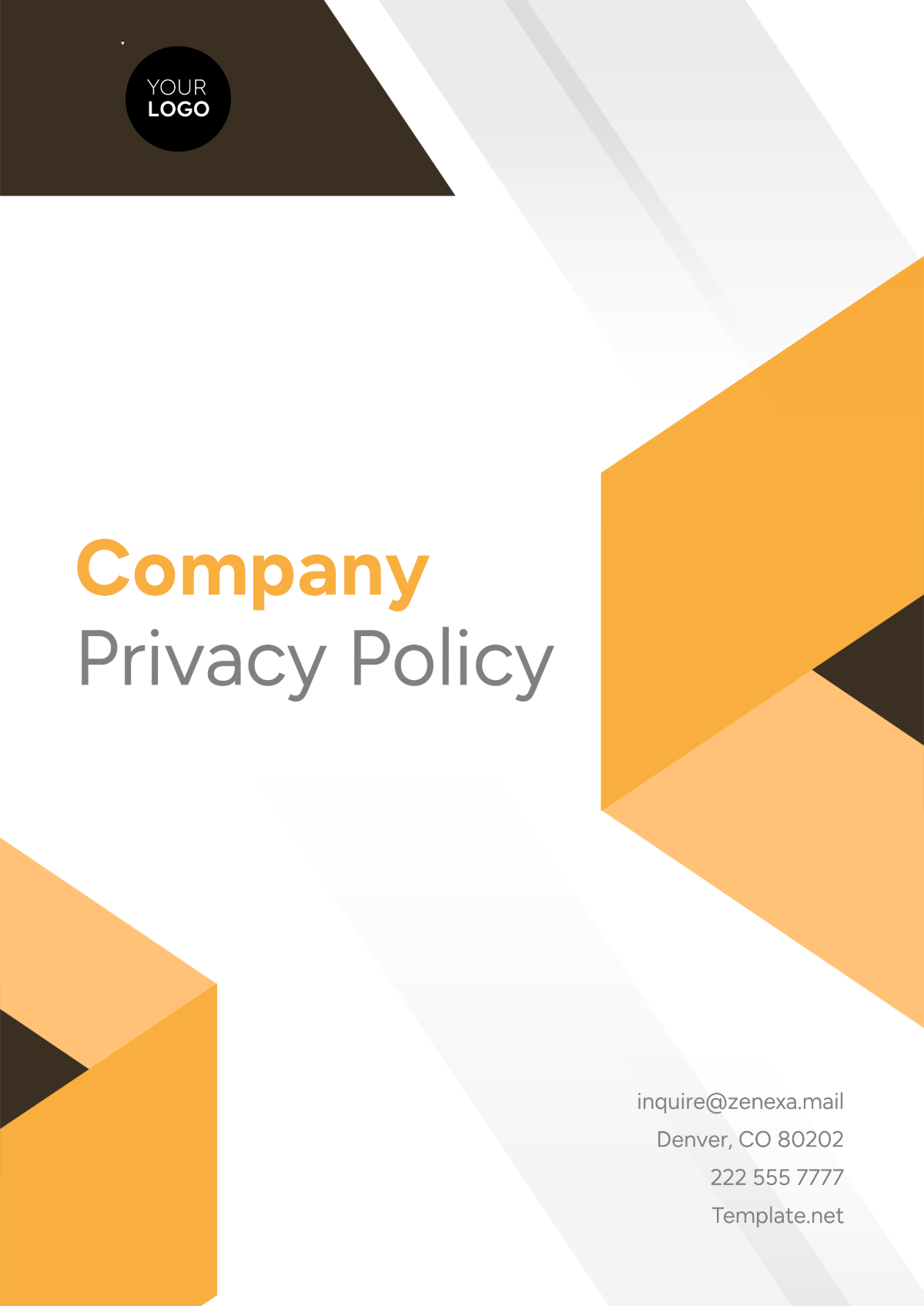 Free Professional Company Privacy Policy Template