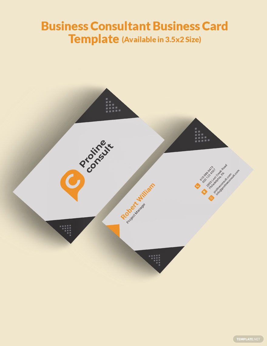 Business Consultant Business Card Template