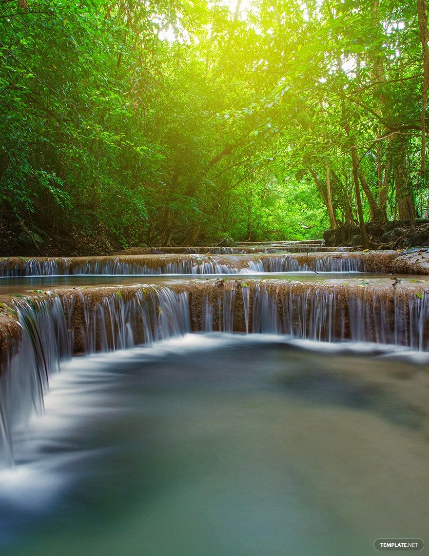 Nature Zoom Virtual Background Template