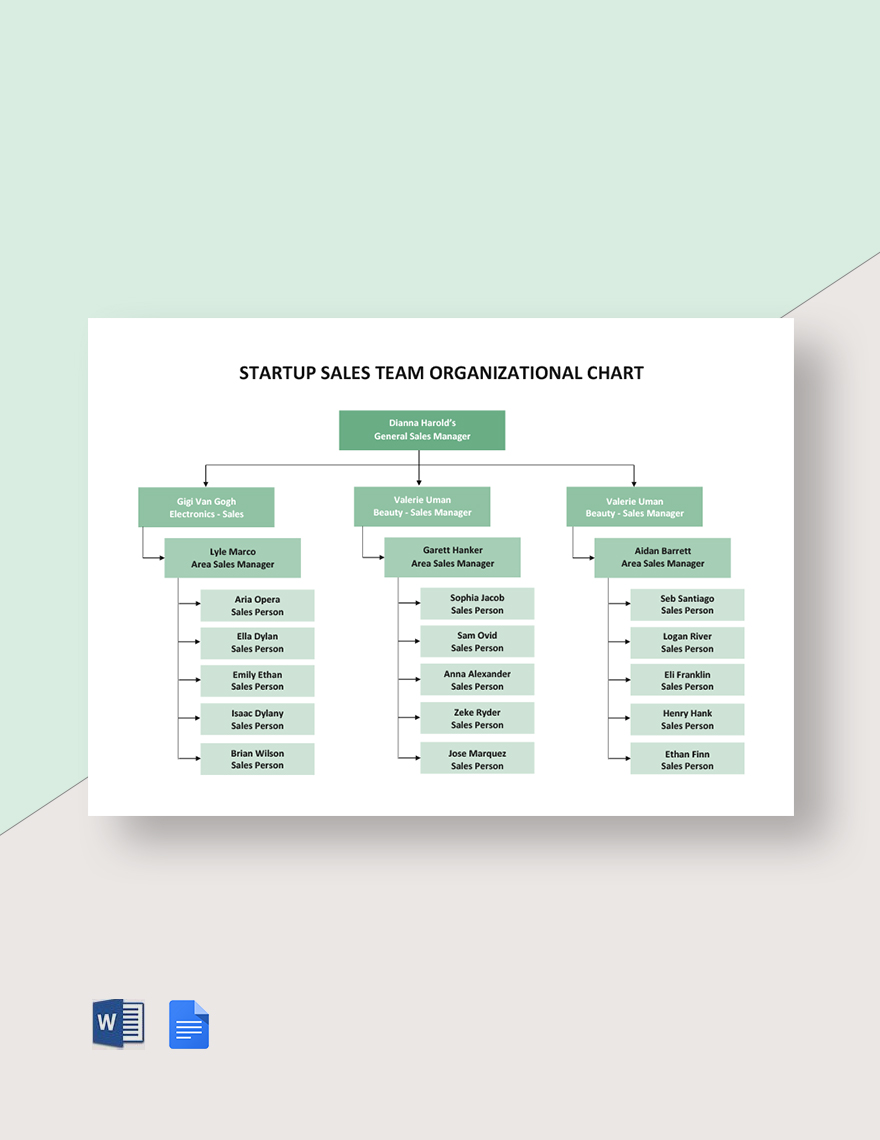 Startup Sales Team Organizational Chart Template