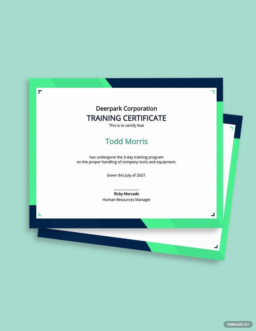 Sample Company Training Certificate Template in Illustrator, Photoshop, InDesign, Outlook, Word, Publisher, Google Docs, Pages - Download | Template.net