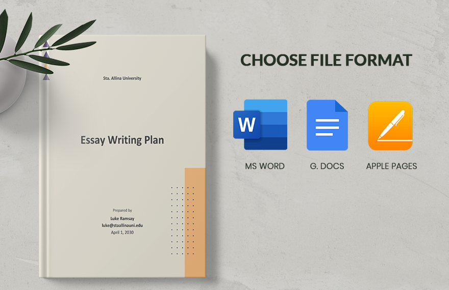 Essay Writing Plan Template