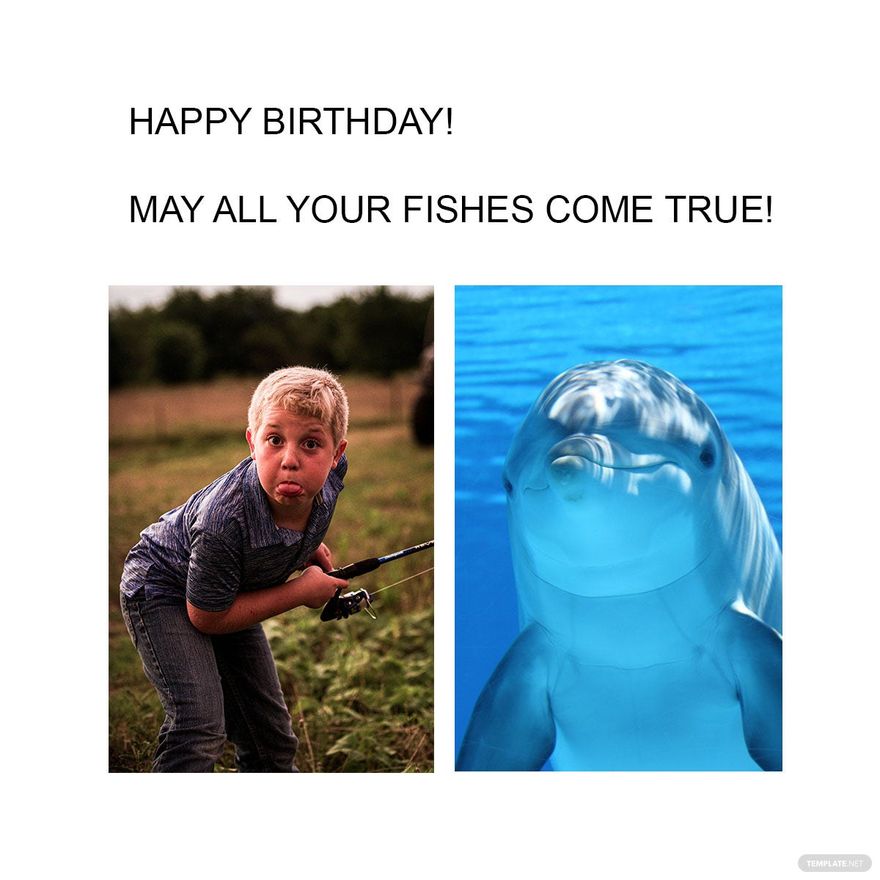 Happy Birthday Fishing Meme