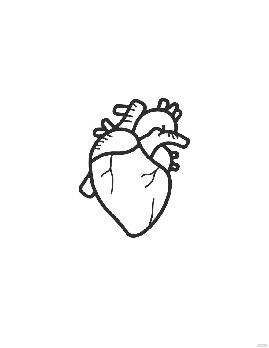 Human Heart Drawing For Kids in PDF, Illustrator, JPG, EPS, SVG, PNG - Download | Template.net