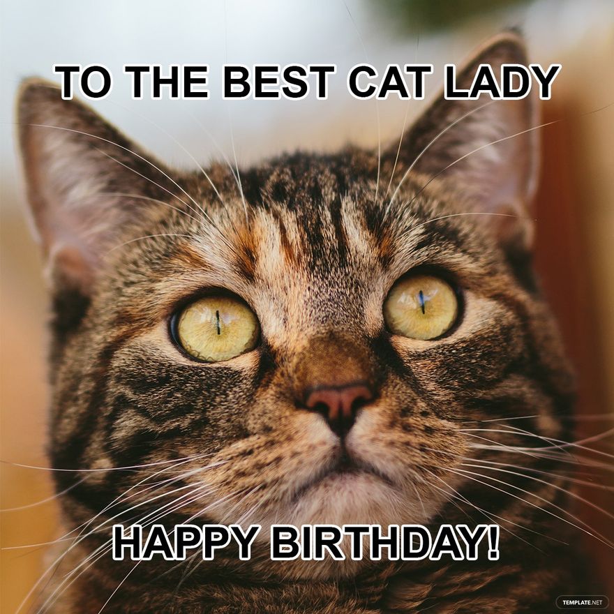 Happy Birthday Cat Meme For Her