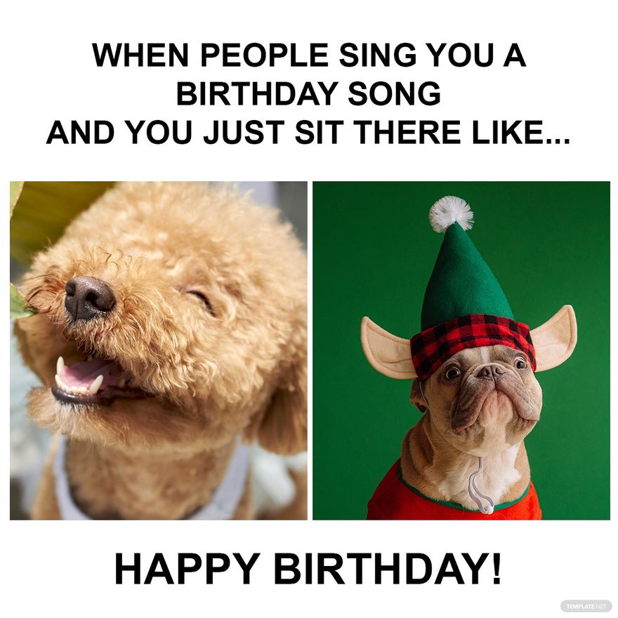 Funny Happy Birthday Friend Meme