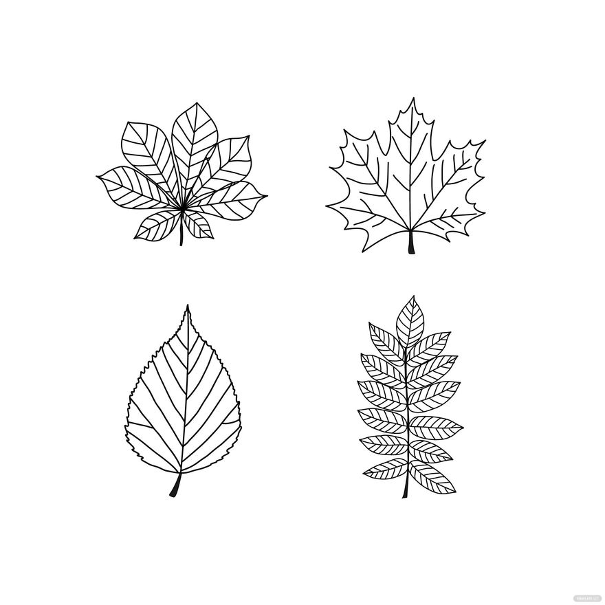 Black And White Autumn Leaves Vector