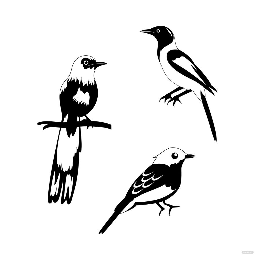 Black and White Bird Vector