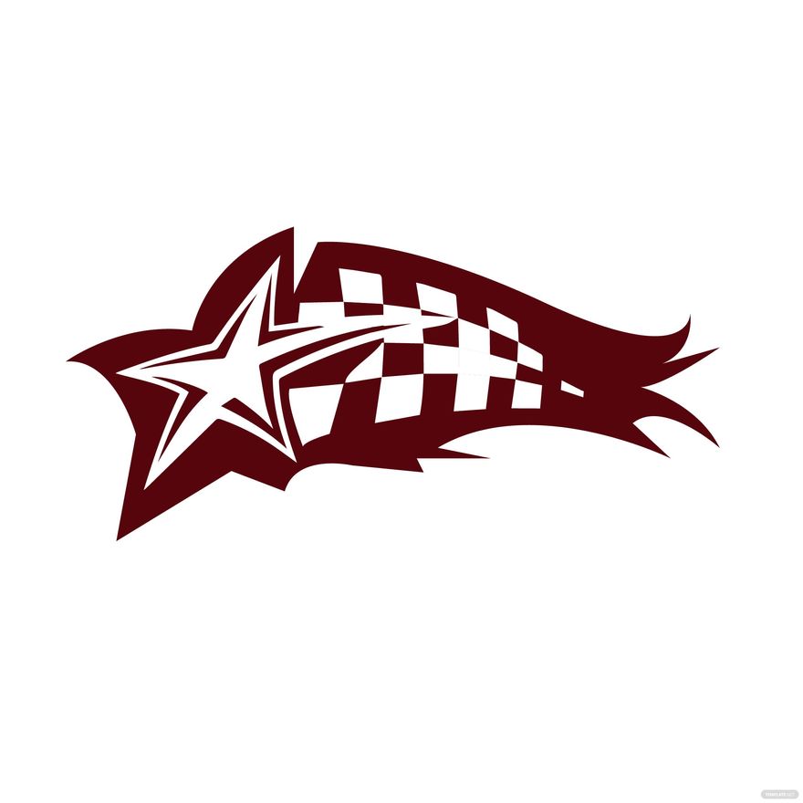 Checkered Flag Star Vector