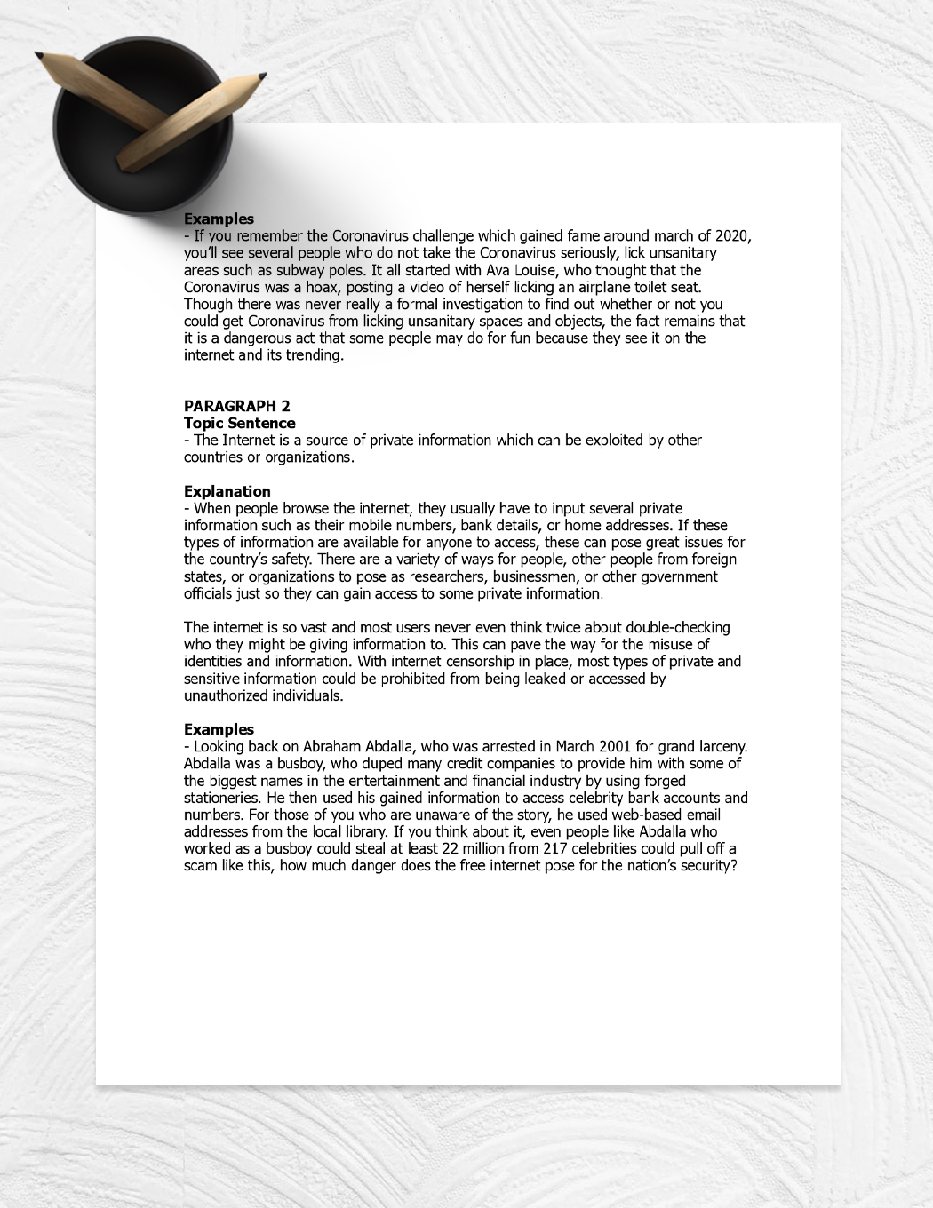 Opinion Essay Template