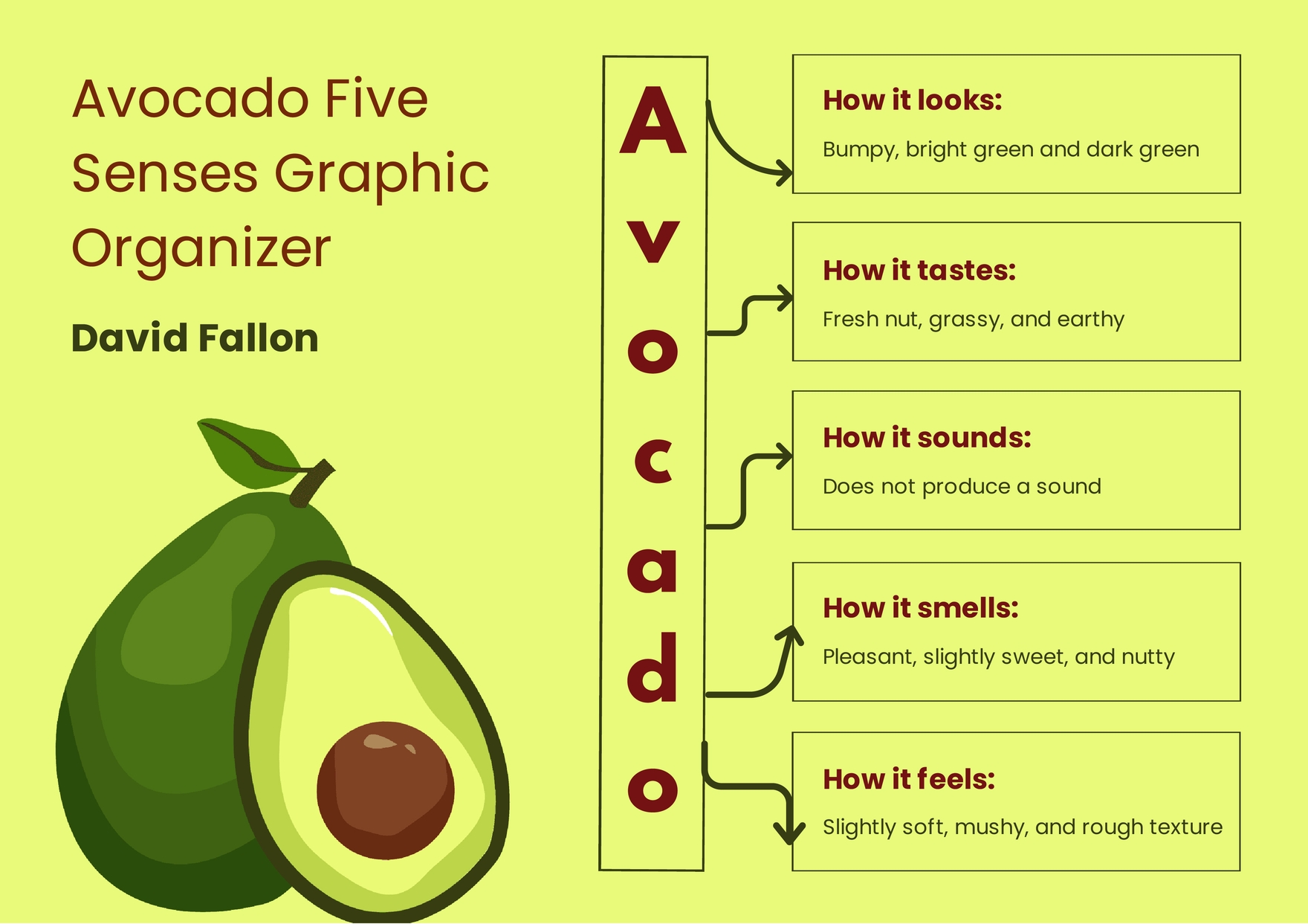 Five Senses Graphic Organizer Template