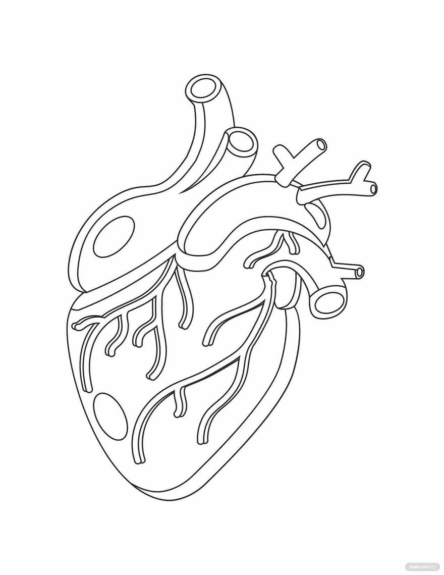 Real Heart Coloring Page in PDF - Download | Template.net