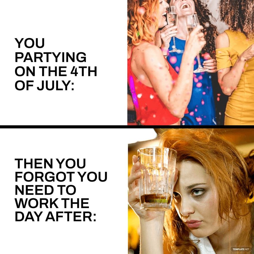 4th Of July Party Meme