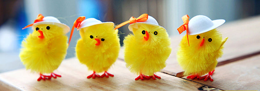 cute chick friends facebook cover