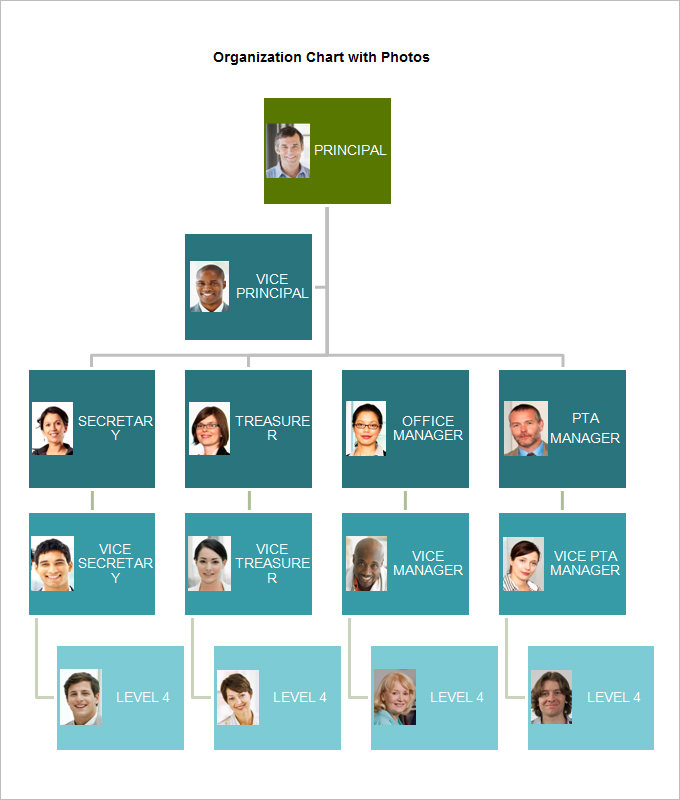 Organizational Chart Template - 19+ Word, Excel, PDF Format Download!