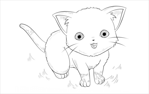 Anime Cat Coloring Pages Printable