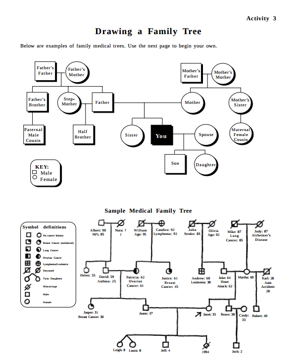 simple family tree drawing