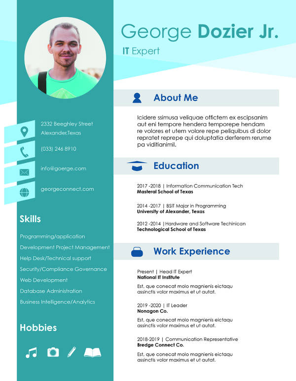 free it resume format