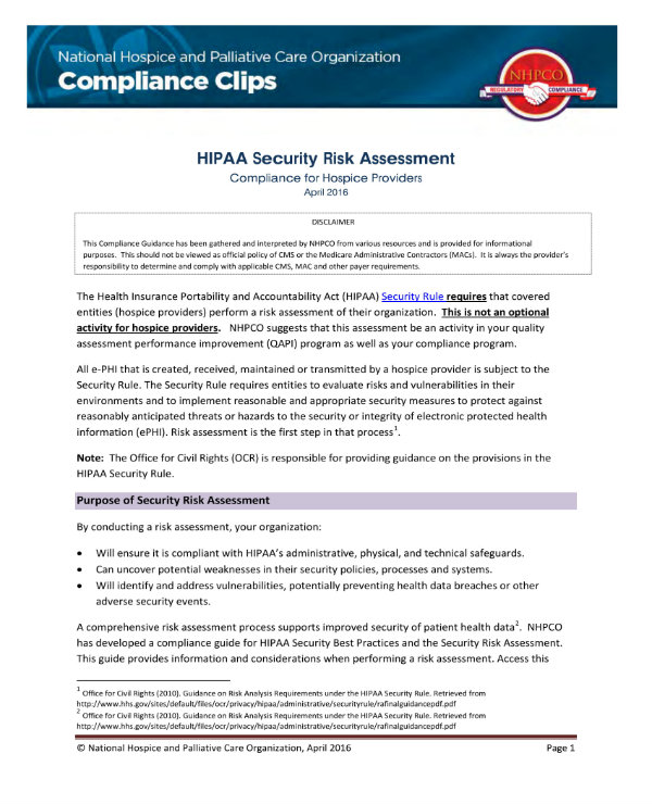 3+ HIPAA Security Risk Analysis Templates - PDF