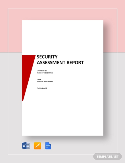 security assessment report