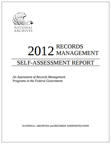 self assessment report